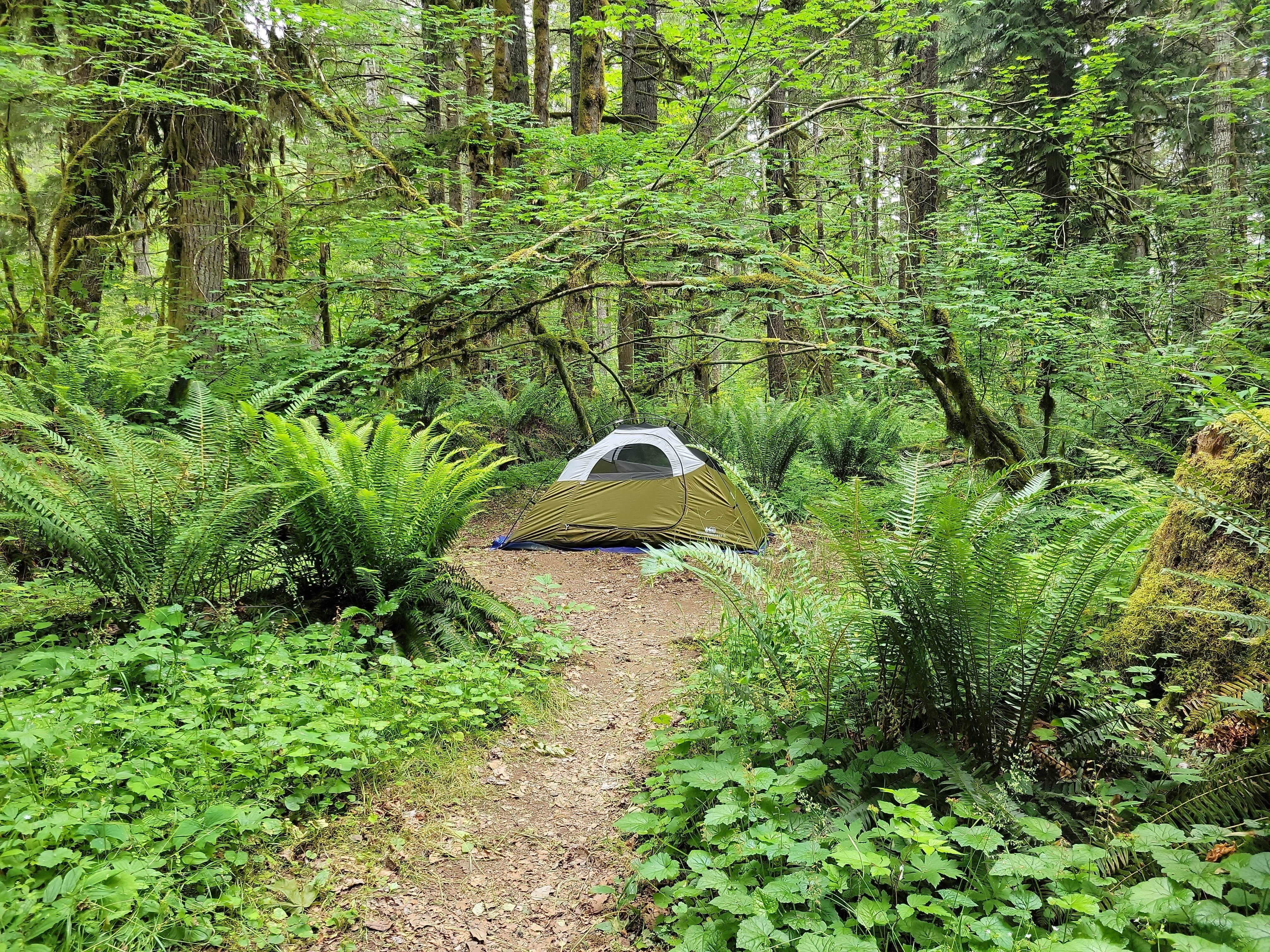 matt P.'s photo at Big Creek Campground near Matlock, WA