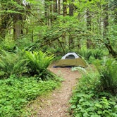 Review photo of Big Creek Campground by matt P., July 4, 2022