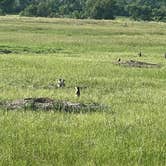 Review photo of Ccc Campground (Nd) — Dakota Prairie National Grasslands by Duncan G., July 4, 2022