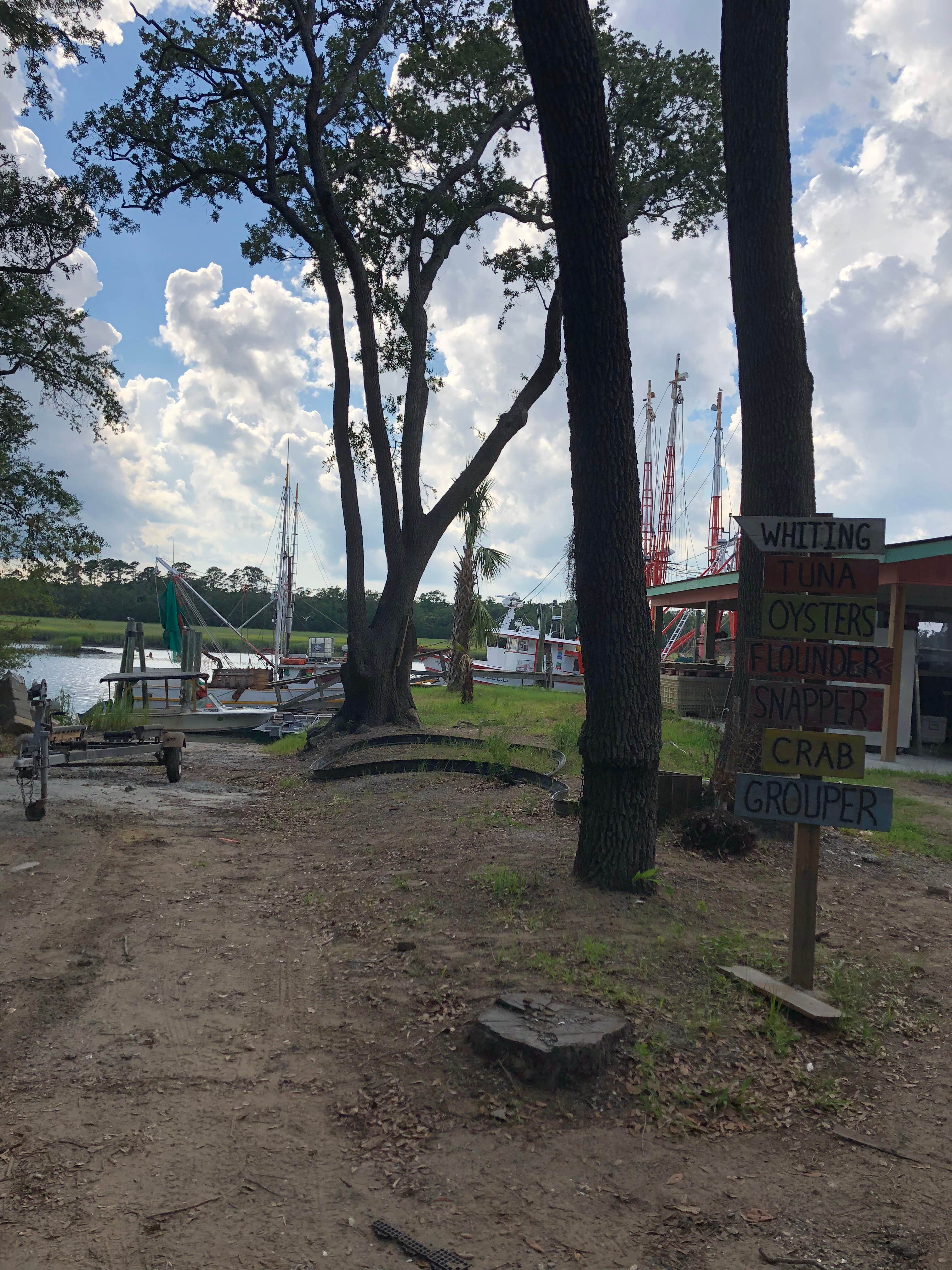 Camper submitted image from Hunting Island State Park Campground - 5