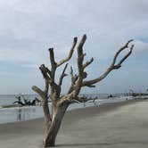 Review photo of Hunting Island State Park Campground by Michele B., July 17, 2018