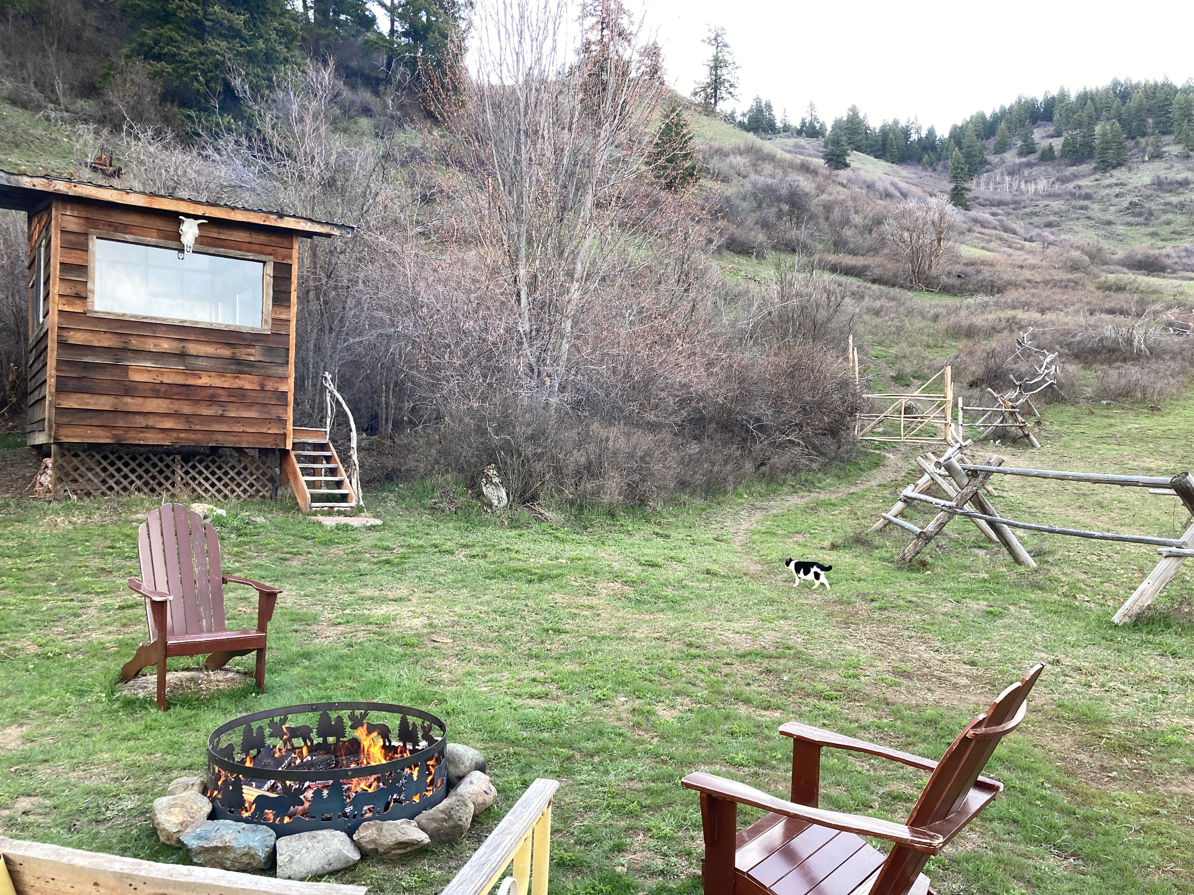 Camper submitted image from Iron Mountain Ranch Screen House - 1