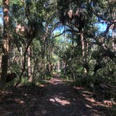 Review photo of Hunting Island State Park Campground by Michele B., July 17, 2018