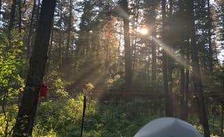 Carl H.'s photo at Holland Lake Campground near Charlo, MT