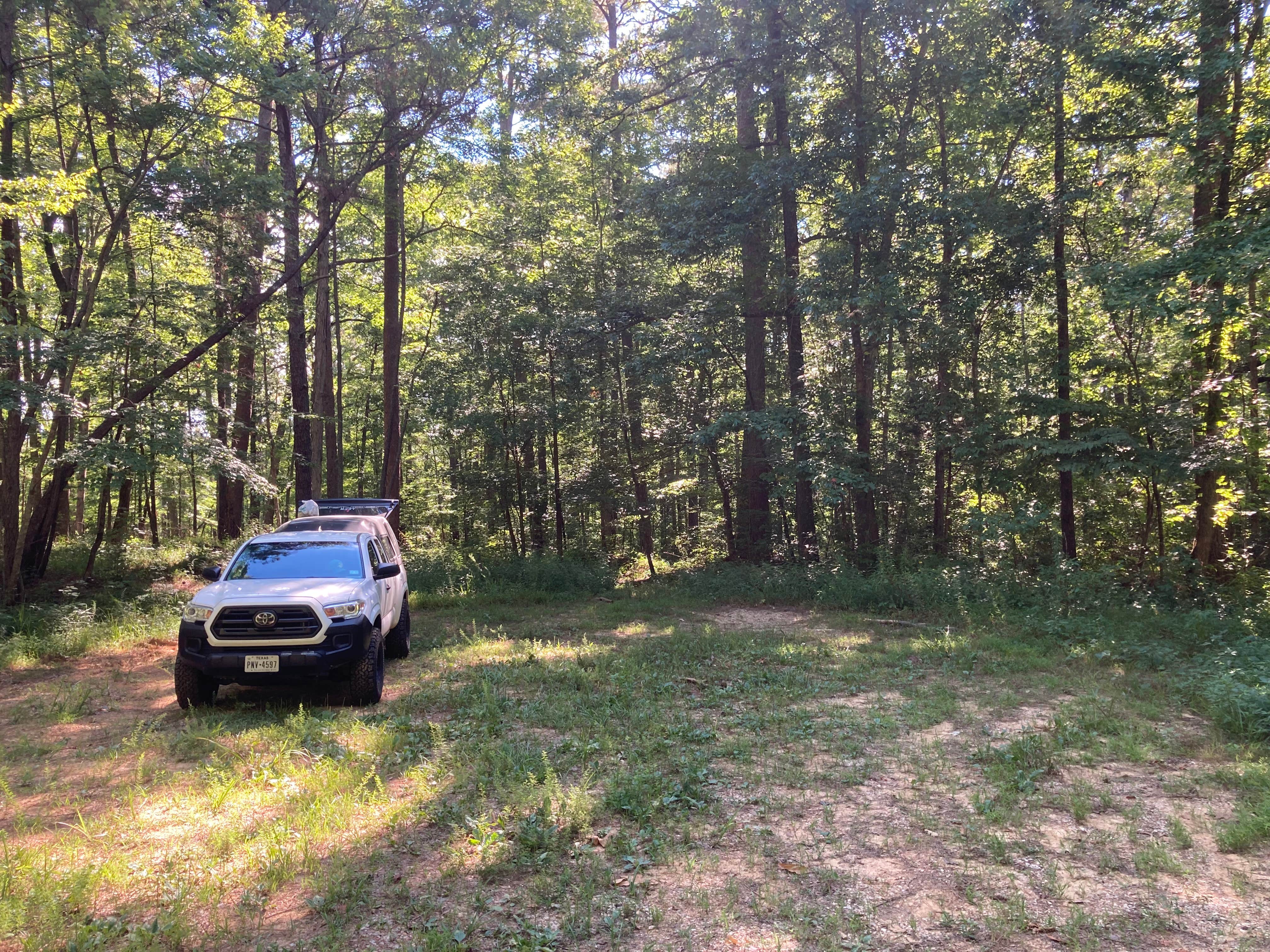 Camper submitted image from Boondock Dispersed Camping Alabama - 2