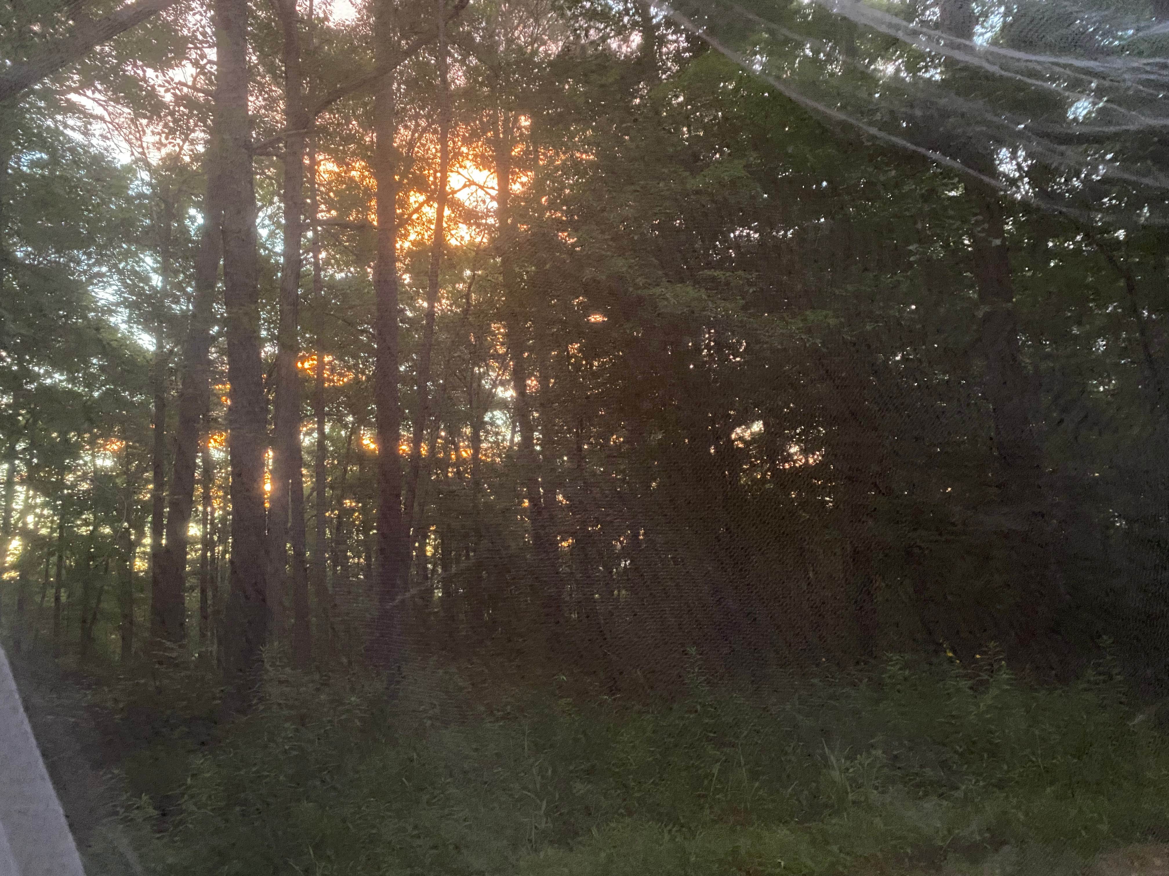 Camper-submitted photo at Boondock Dispersed Camping Alabama near Danville, AL