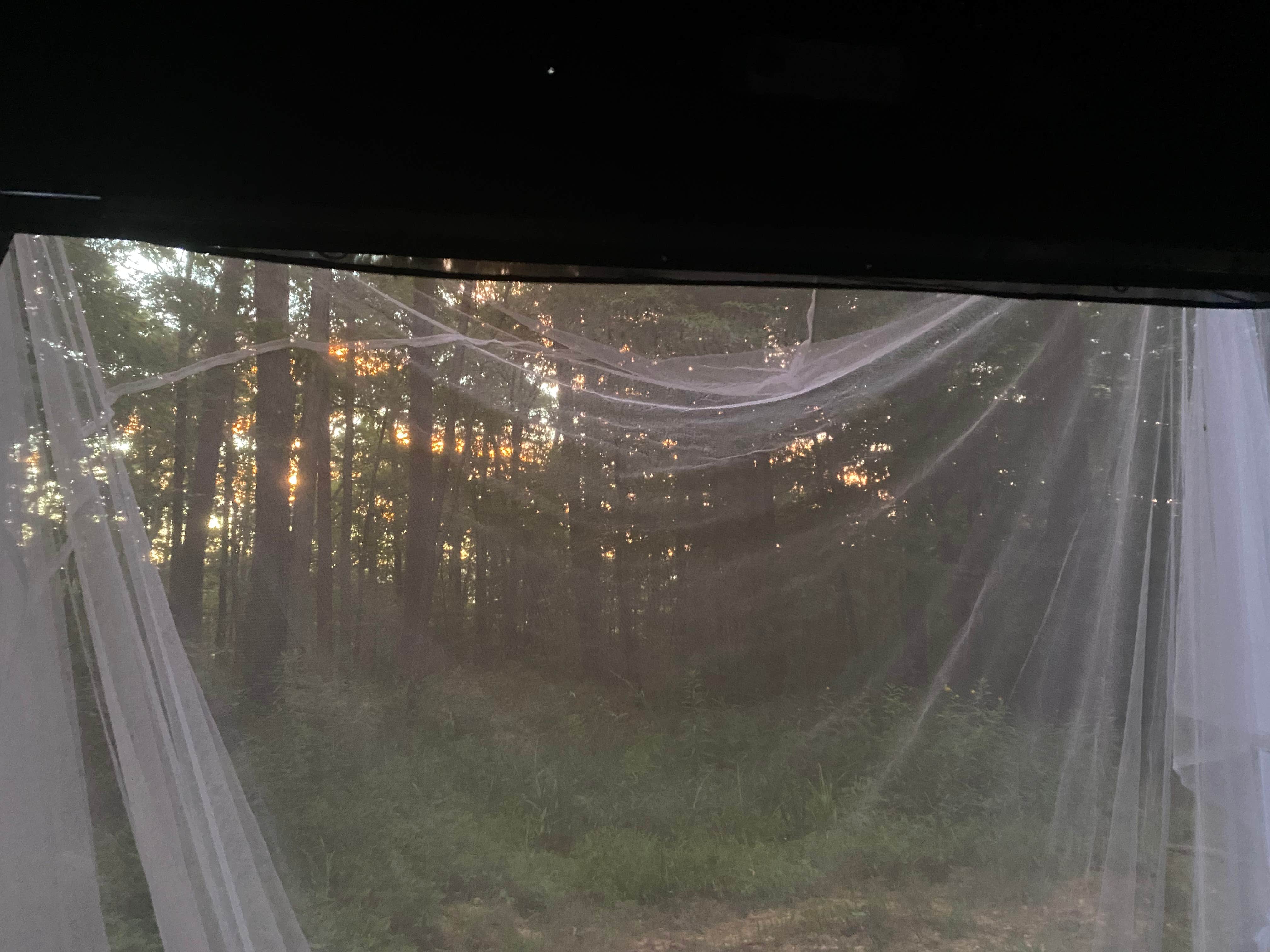 Camper-submitted photo at Boondock Dispersed Camping Alabama near Danville, AL