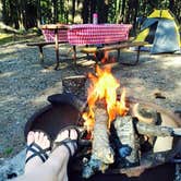 Review photo of Blackwoods Campground — Acadia National Park by Melissa N., July 17, 2018