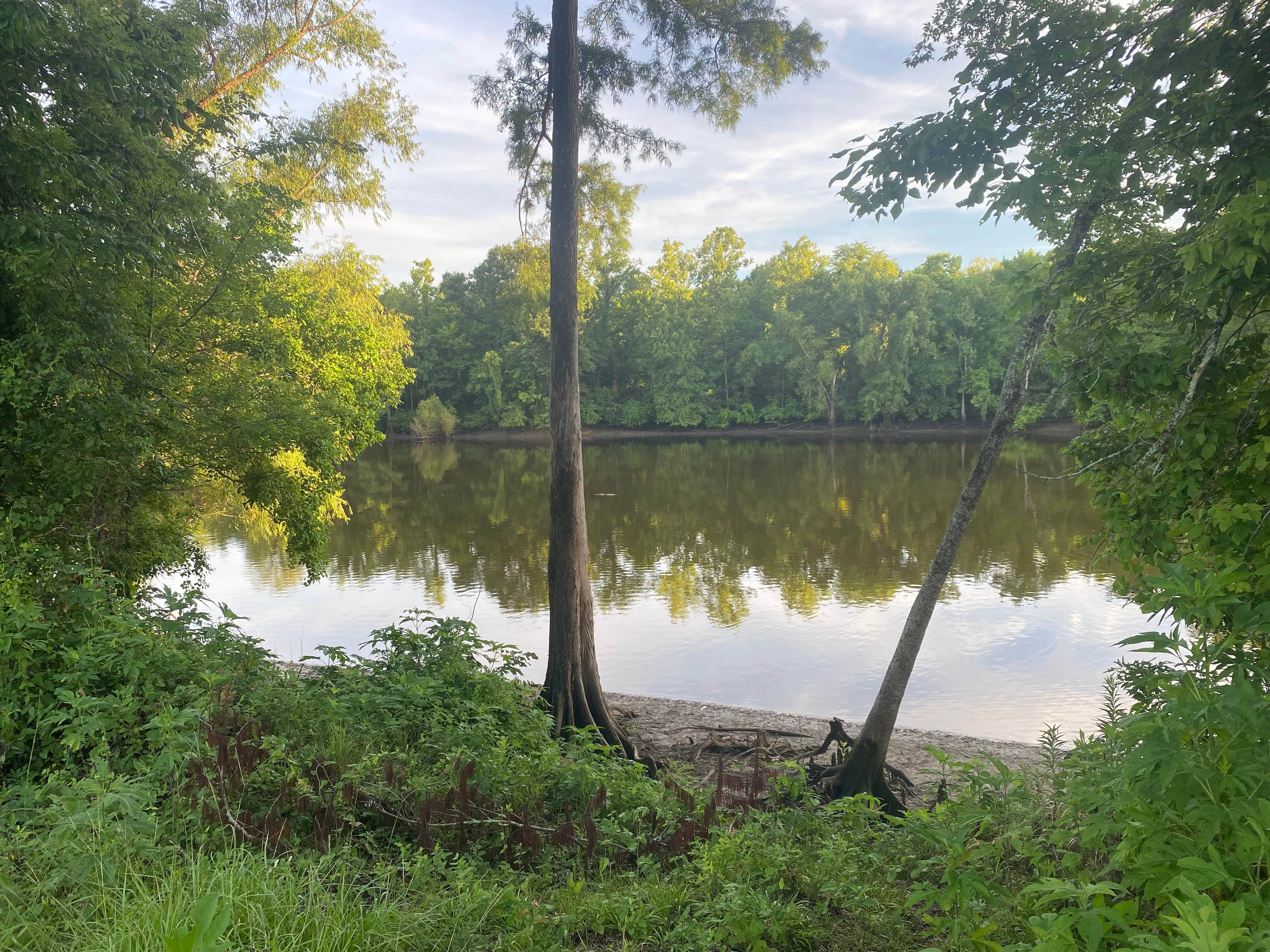 Camper-submitted photo at Sherburne WMA near St. Francisville, LA