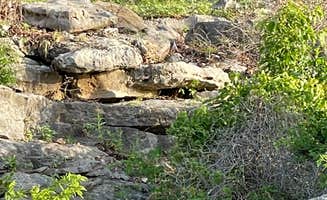 Ann L.'s photo at Hawthorn Bluff near Coffeyville, KS