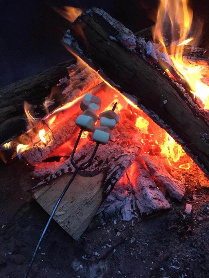 Melissa N.'s photo at Seawall Campground — Acadia National Park near Mount Desert, ME