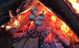 Melissa N.'s photo at Seawall Campground — Acadia National Park near Acadia National Park