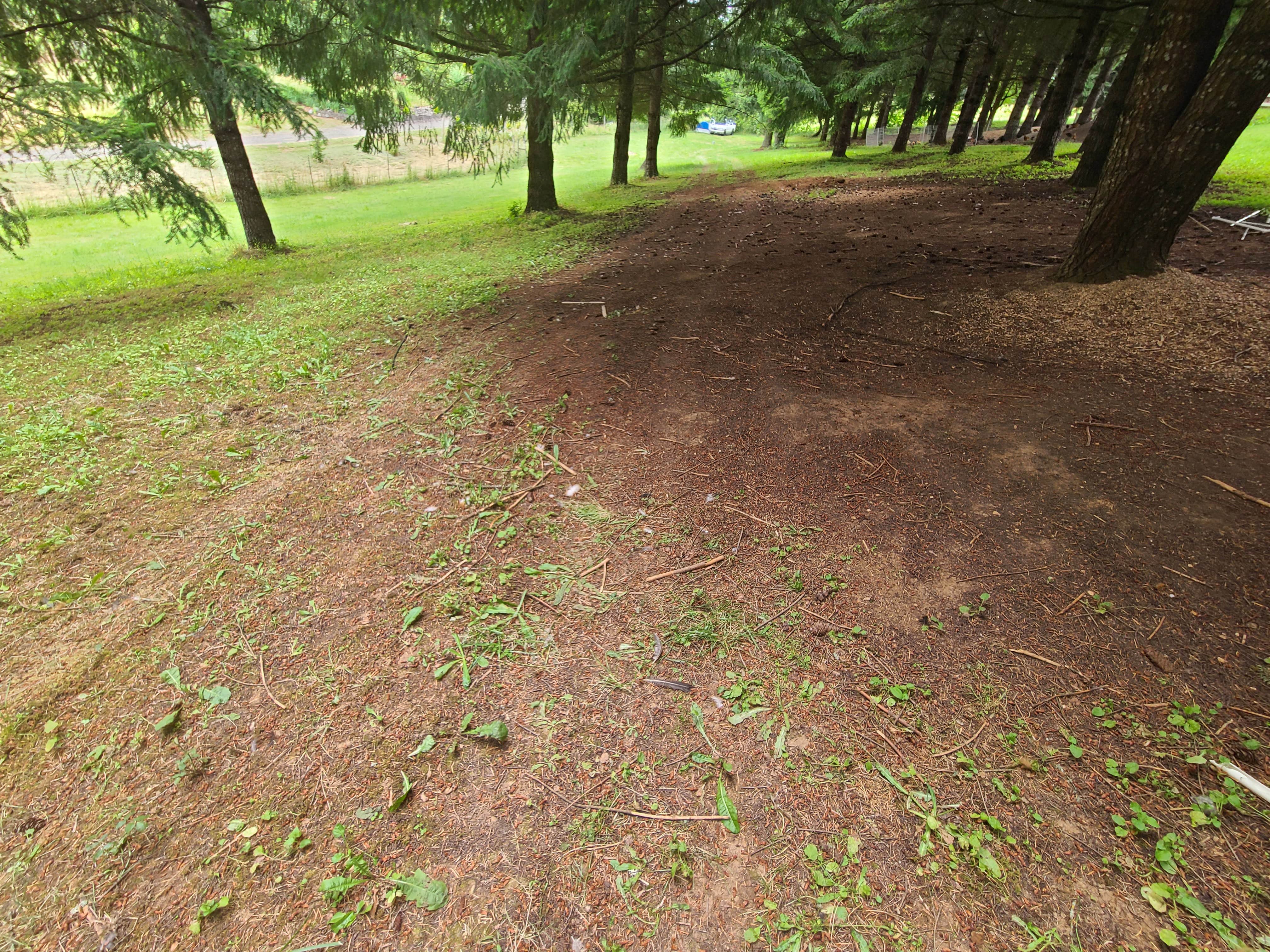 Camper-submitted photo at Hagg Lake House near Lafayette, OR