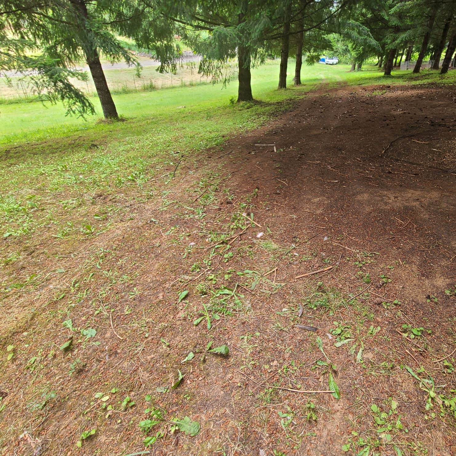 Hagg Lake House Camping The Dyrt