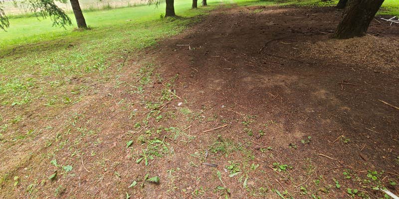 Camper submitted image from Hagg Lake House