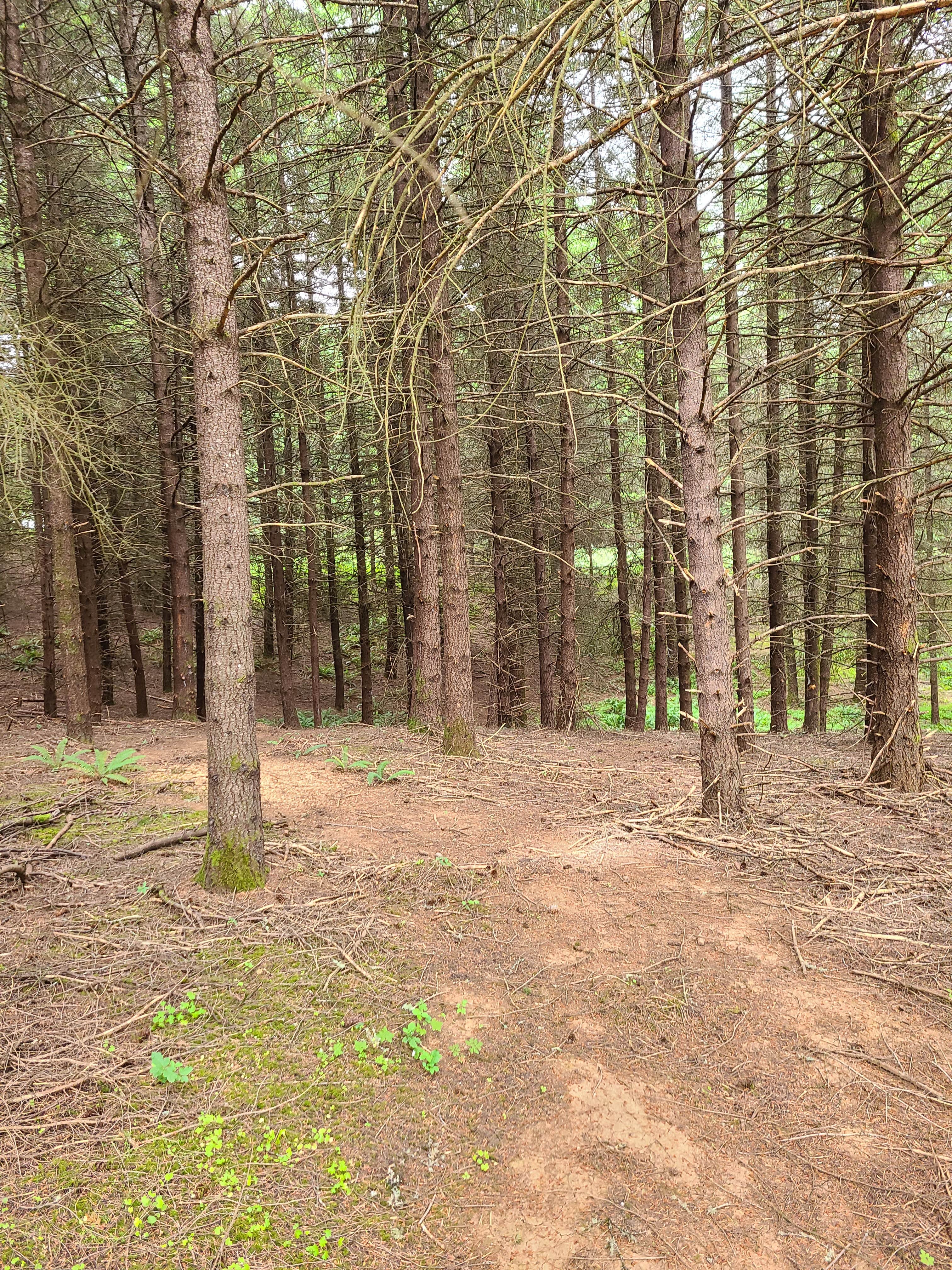 Camper-submitted photo at Hagg Lake House near Lafayette, OR