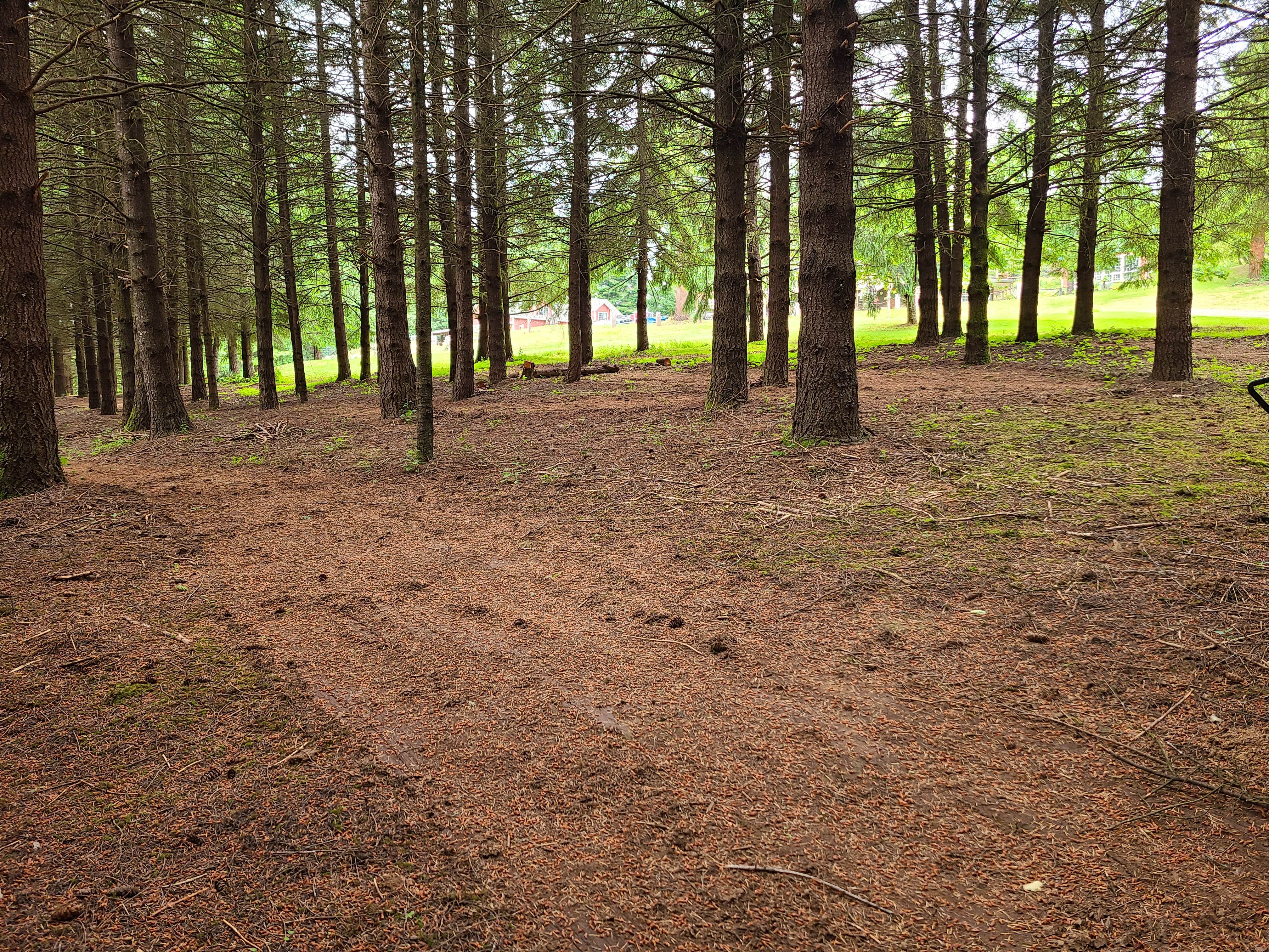 Camper-submitted photo at Hagg Lake House near Lafayette, OR