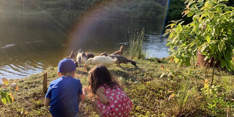 Camper submitted image from Woodybrooke Farm