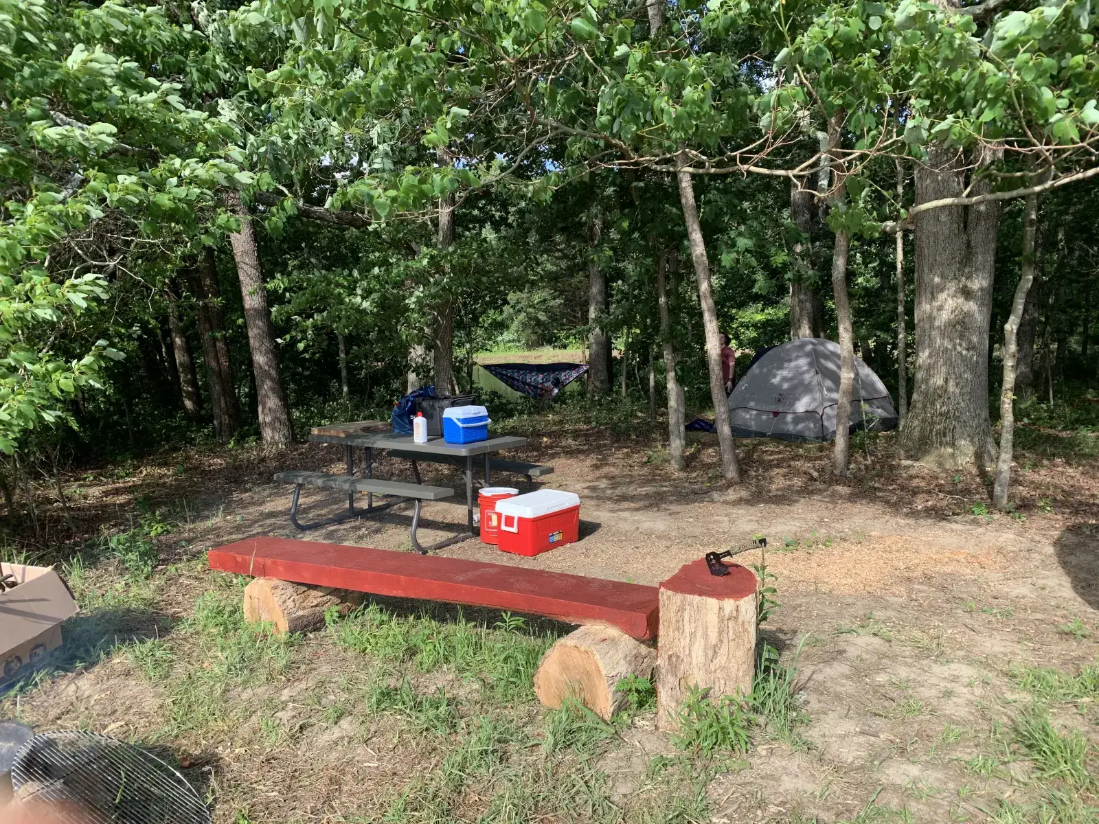 Camper-submitted photo at Woodybrooke Farm near Rising Fawn, GA