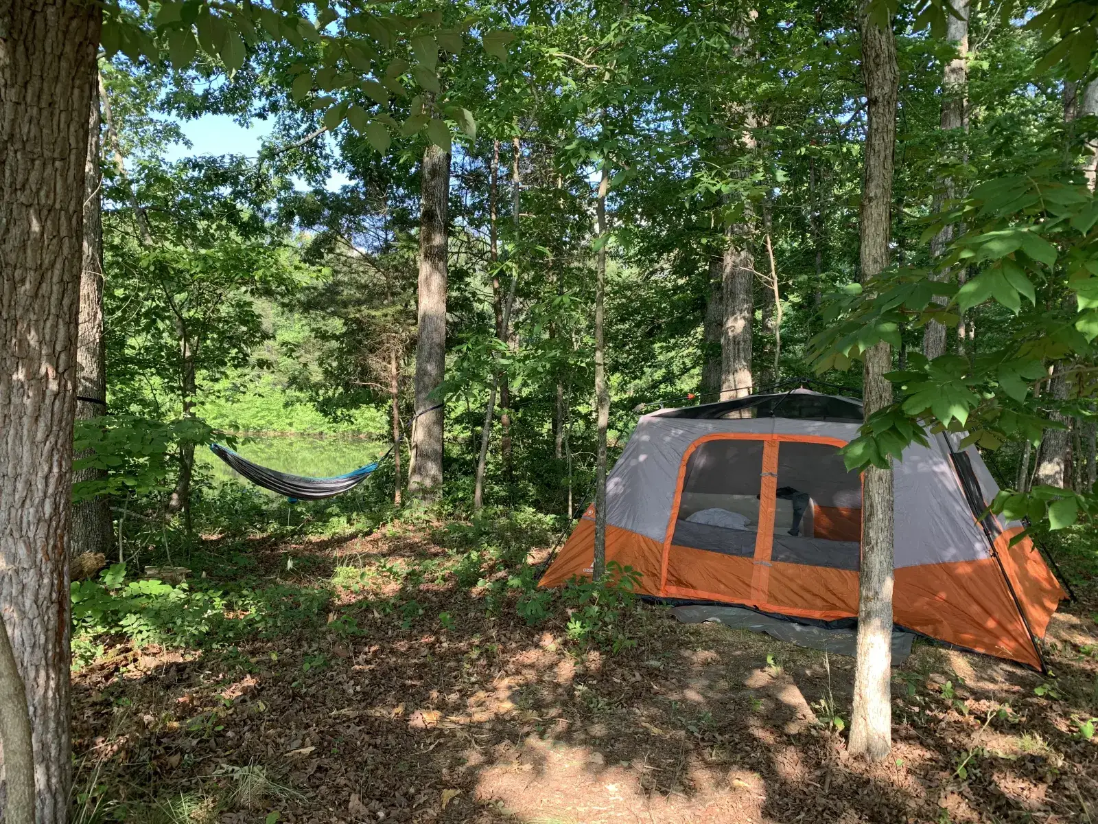 Camper-submitted photo at Woodybrooke Farm near Rising Fawn, GA
