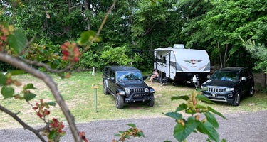 Willow Shores Campground