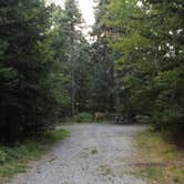 Review photo of Seawall Campground — Acadia National Park by Melissa N., July 17, 2018