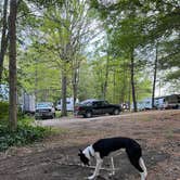 Review photo of Thousand Trails St. Clair by David B., July 5, 2022