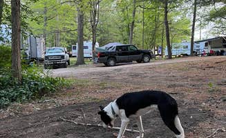 David B.'s photo of camping with pets at Thousand Trails St. Clair near Sterling Heights, MI