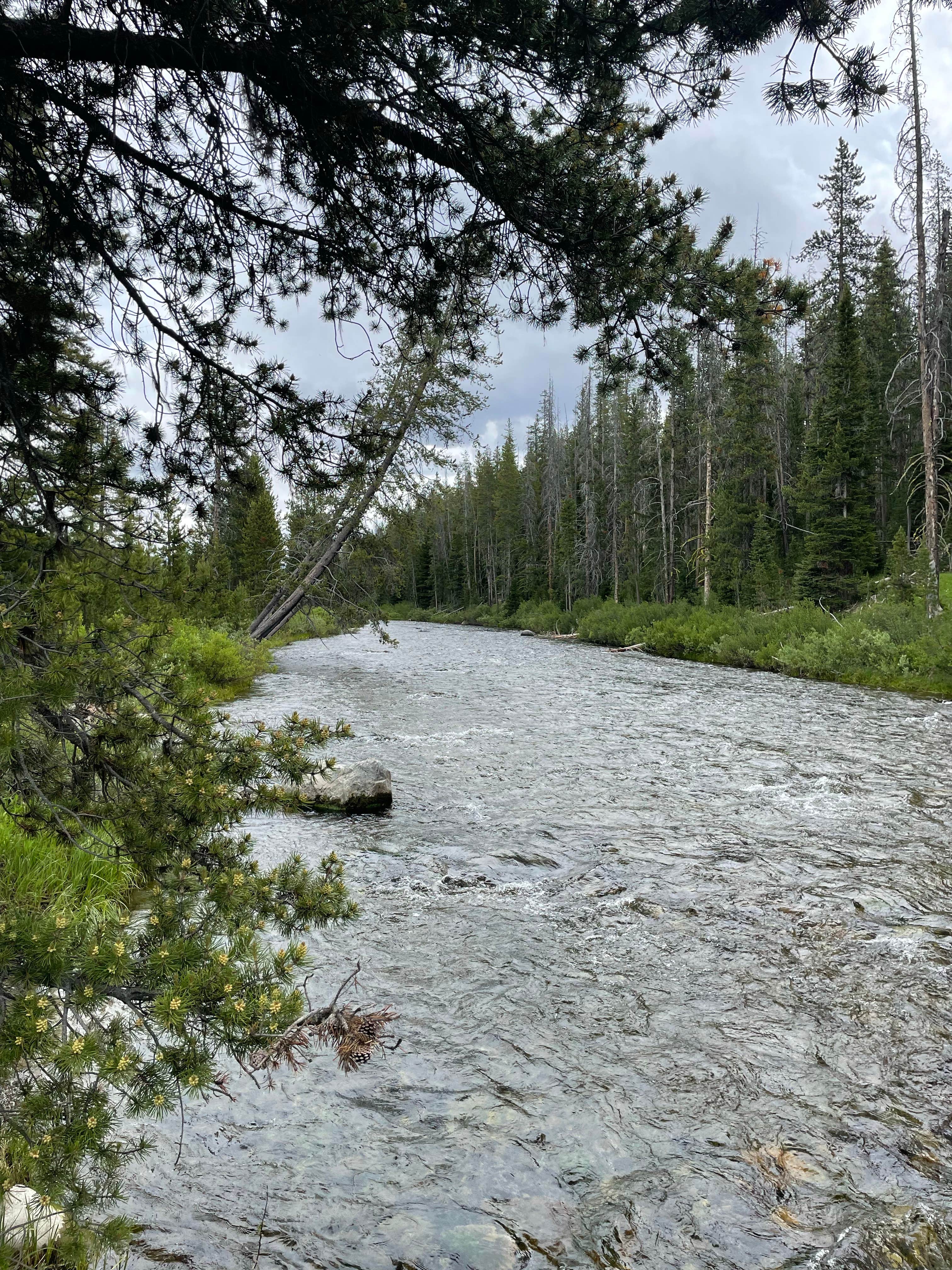 Camping near Fir Creek: Beaver Creek Campground, Stanley, Idaho