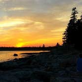 Review photo of Seawall Campground — Acadia National Park by Melissa N., July 17, 2018