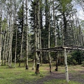 Review photo of Enchanted Circle Campground E<< - #1 Campground in NM by James F., July 5, 2022