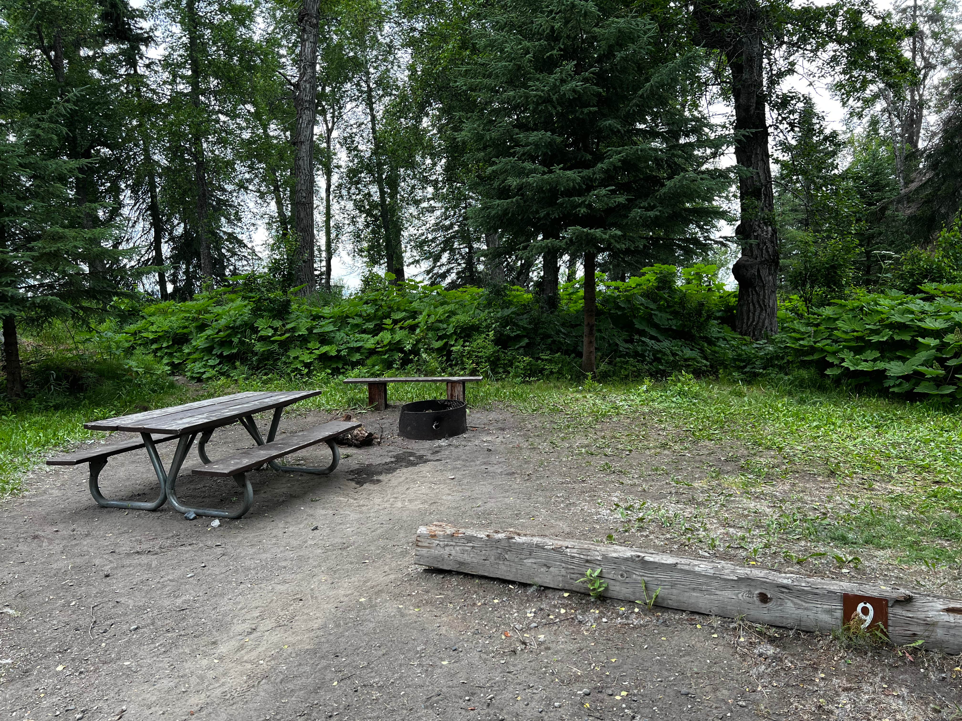 Camper-submitted photo at Discovery Campground Capt. Cook State Park Campground near Tyonek, AK
