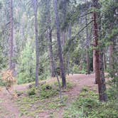 Review photo of North Cottonwood Trailhead Dispersed Camping by Angelique C., July 5, 2022