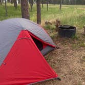 Review photo of Red Shale Campground & Geocache Site by Nola , July 5, 2022