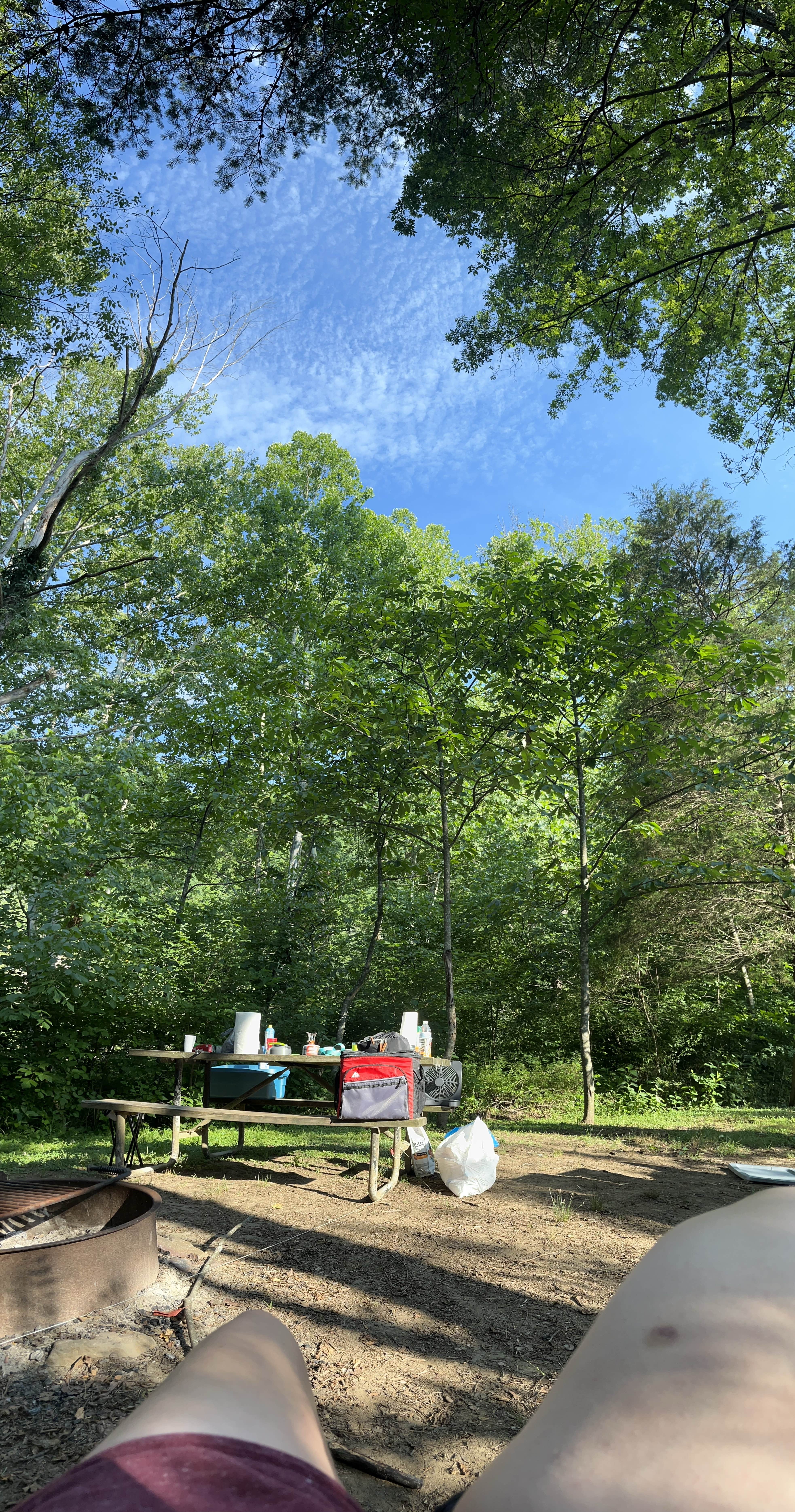 Camper-submitted photo at Breeden Bottom Campground near Buchanan, VA