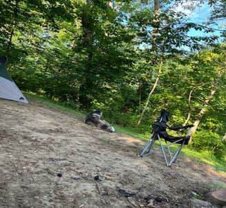Camper-submitted photo from Breeden Bottom Campground