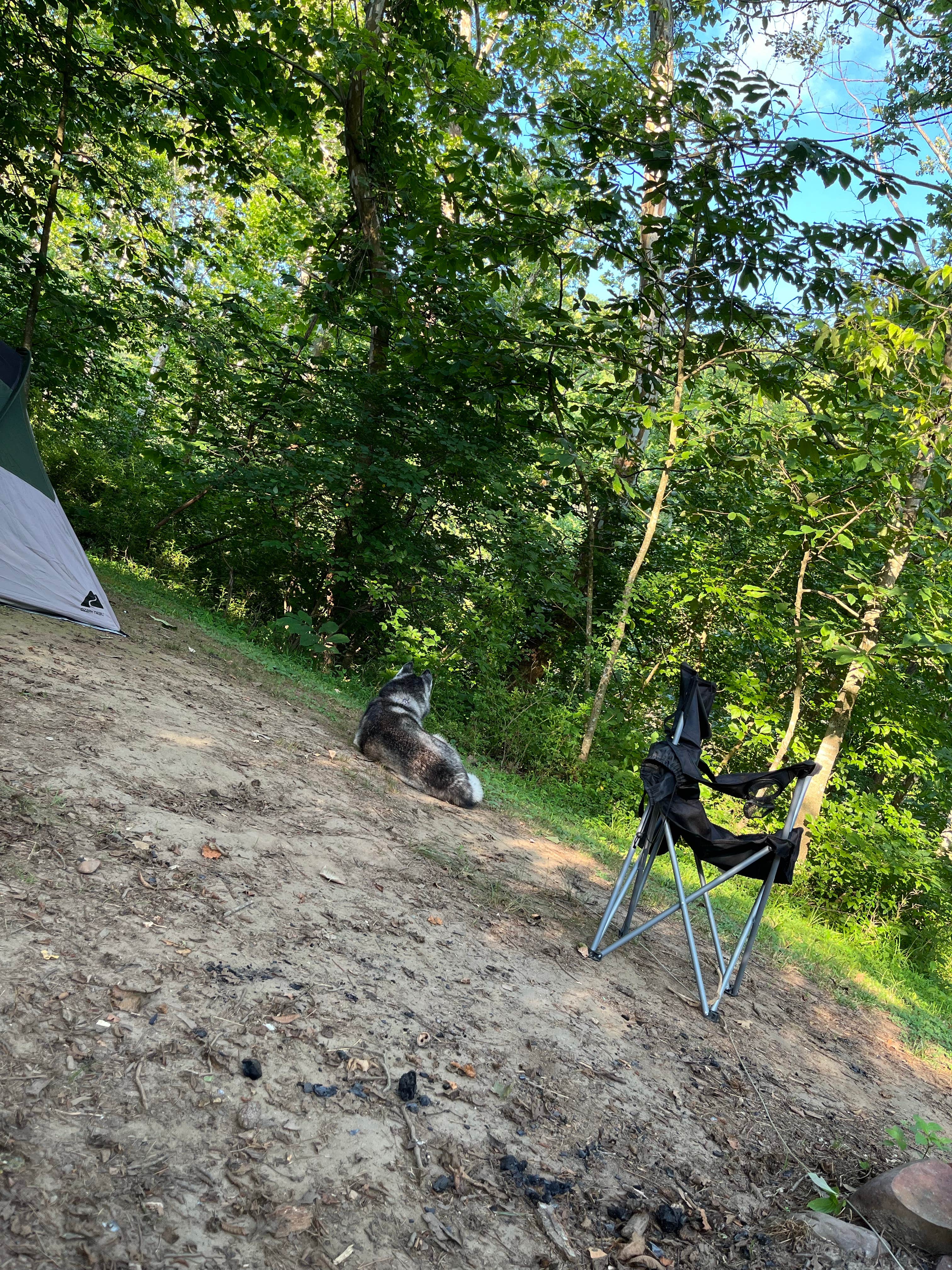 Camper submitted image from Breeden Bottom Campground - 5