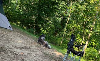 Kate V.'s photo of camping with pets at Breeden Bottom Campground near Big Island, VA