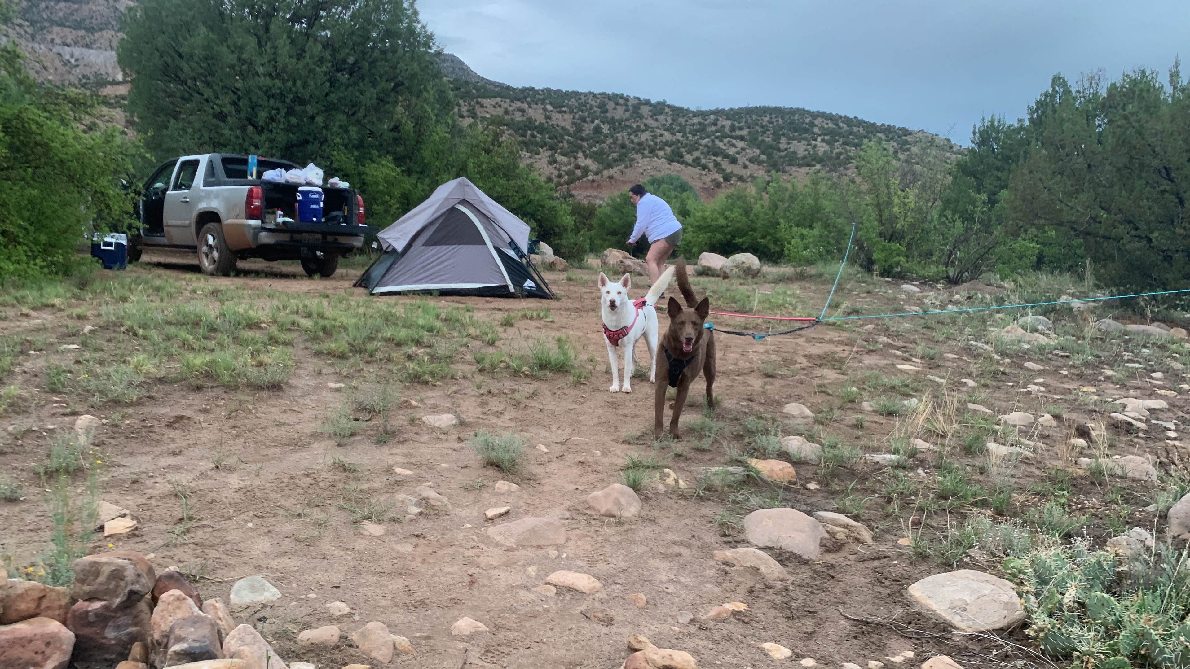 Michael N.'s photo of camping with pets at Rio Chama Campground near Tierra Amarilla, NM