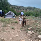 Review photo of Rio Chama Campground - Temporarily Closed by Michael N., July 5, 2022