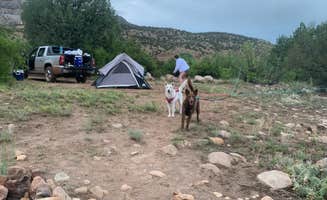 Michael N.'s photo of camping with pets at Rio Chama Campground near Tierra Amarilla, NM