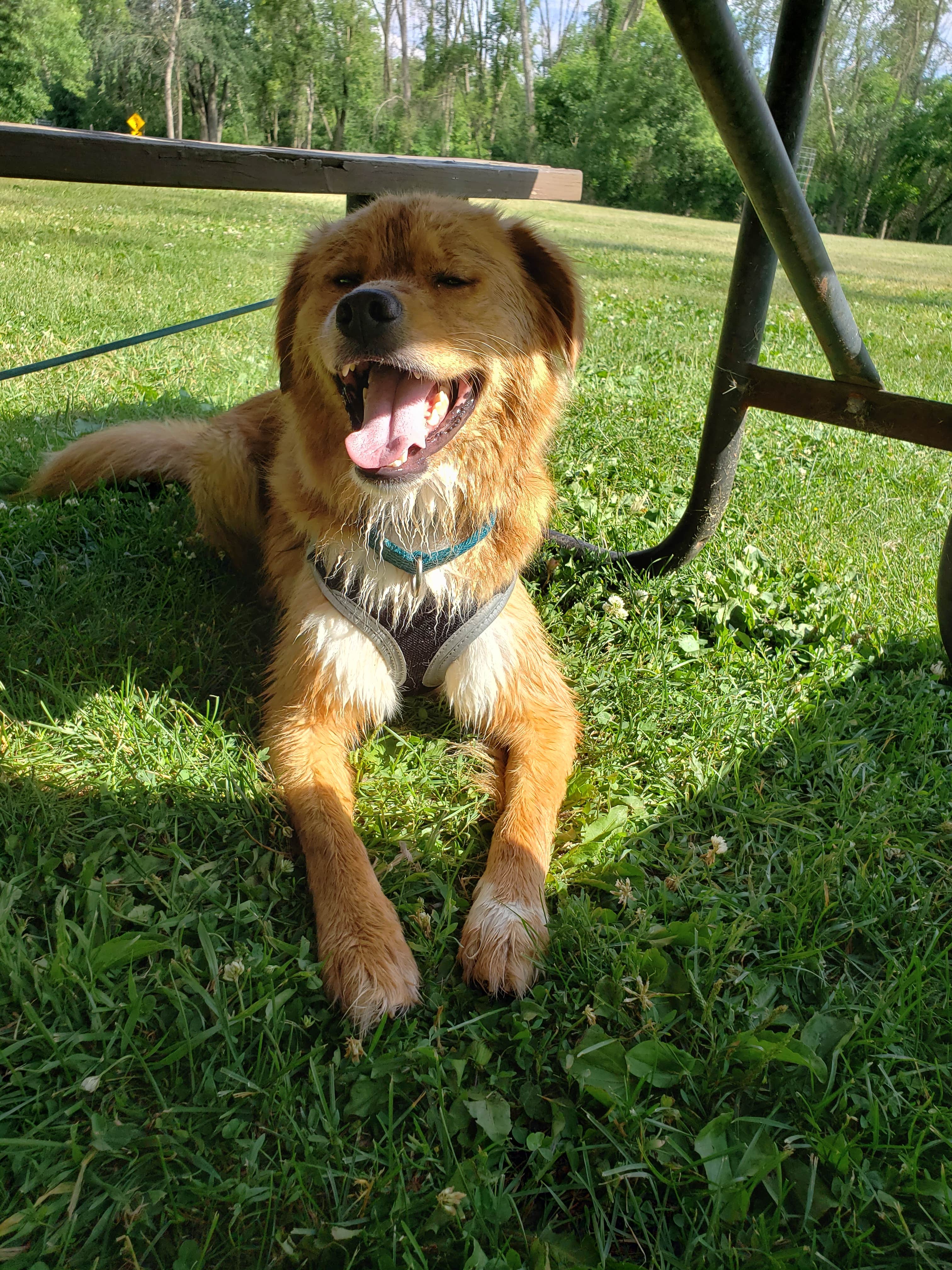 Camper-submitted photo at Menomonee Park by Waukesha County Parks near Waupun, WI