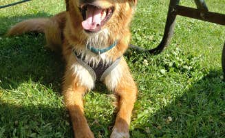 Kim's photo of camping with pets at Menomonee Park by Waukesha County Parks near Belgium, WI