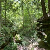 Review photo of Turkey Run State Park Campground — Turkey Run State Park by Duncan G., July 5, 2022