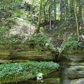 Review photo of Turkey Run State Park Campground — Turkey Run State Park by Duncan G., July 5, 2022