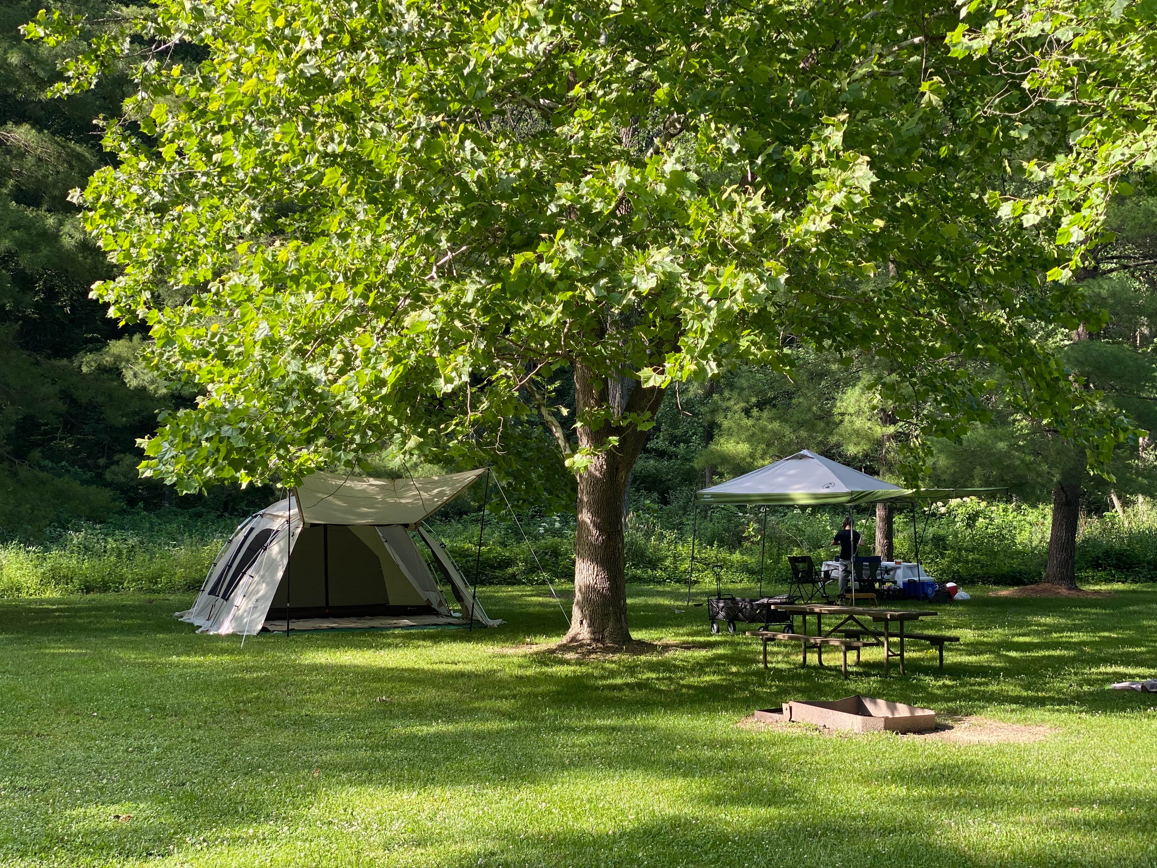 Yang L.'s photo at Mississippi Palisades State Park Campground near Clinton, IA
