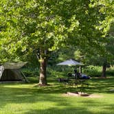 Review photo of Mississippi Palisades State Park Campground by Yang L., July 5, 2022