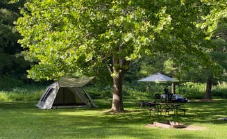Yang L.'s photo at Mississippi Palisades State Park Campground near Maquoketa, IA