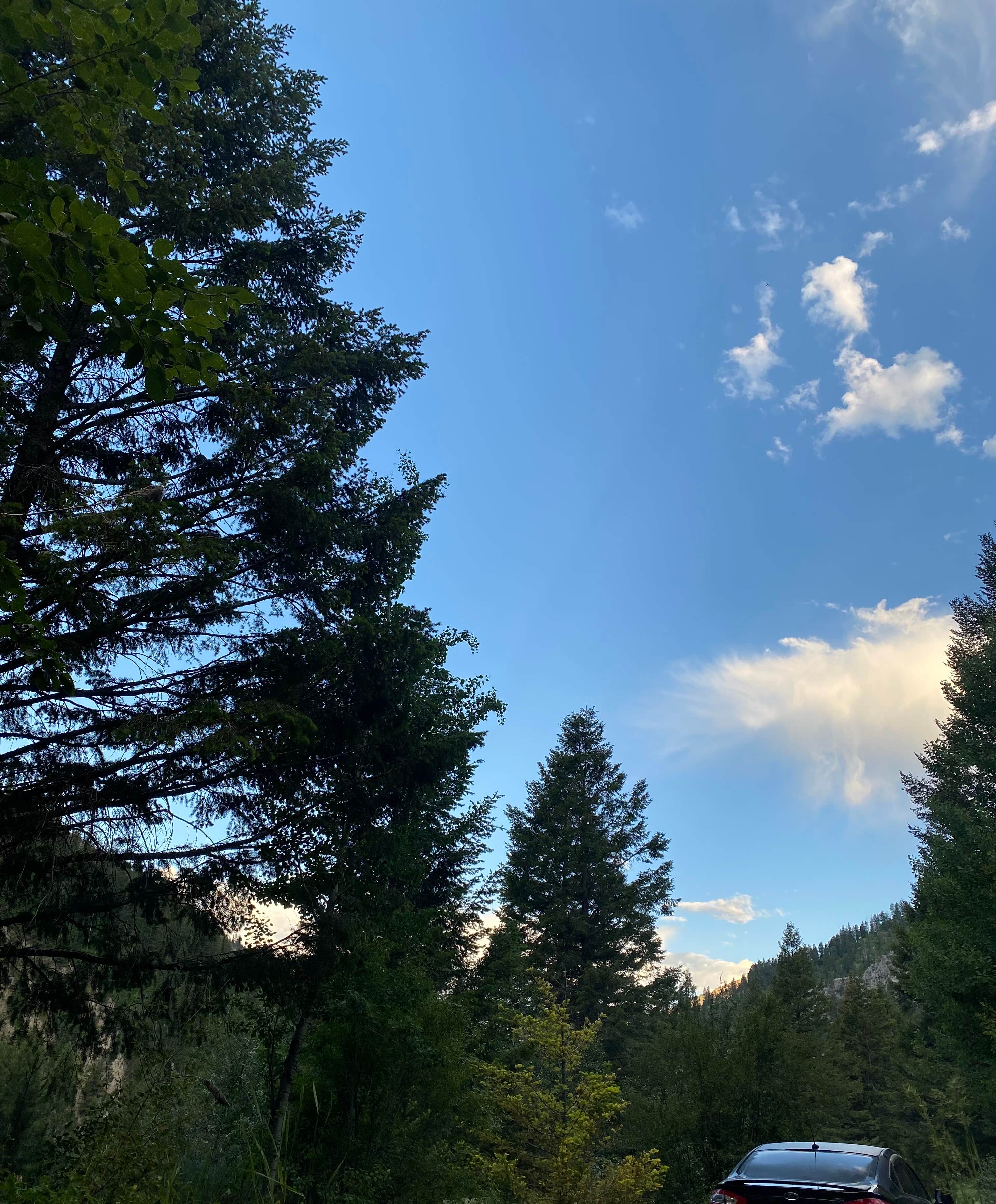 Camper-submitted photo at Wolf Creek Campground near Alpine, WY