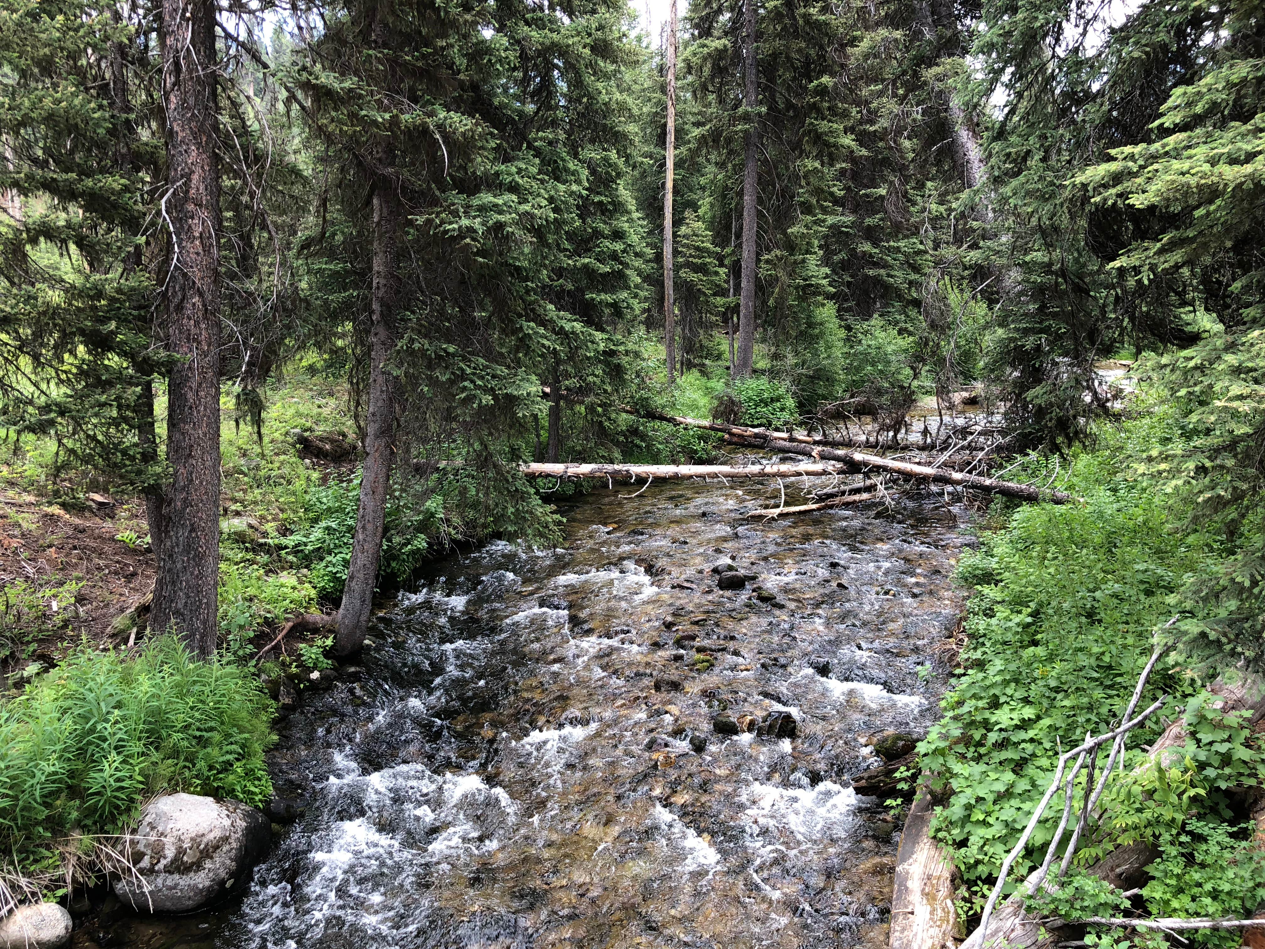 Camper submitted image from Martin Creek - 4